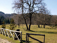 Raduno di primavera