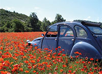 Raduno di primavera