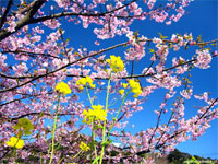 Raduno di primavera