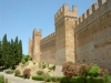 Città Medioevali2008