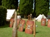 Città Medioevali2008