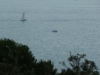 Costa Azzurra 2010