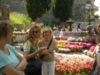Giardini di Ninfa 2012