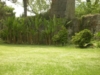Giardini di Ninfa 2012