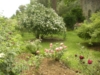 Giardini di Ninfa 2012