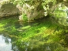 Giardini di Ninfa 2012