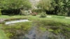 Giardini di Ninfa 2012