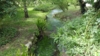 Giardini di Ninfa 2012