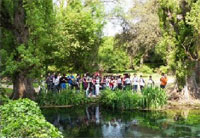 Giardini di Ninfa