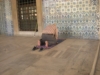 Alle porte dell