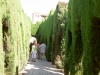 Tour Andalusia 2008