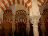 Tour Andalusia 2008