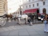Dal Tronto al Danubio 2009