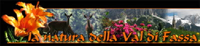 Val di Fassa