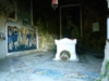 Via delle Colline 2012